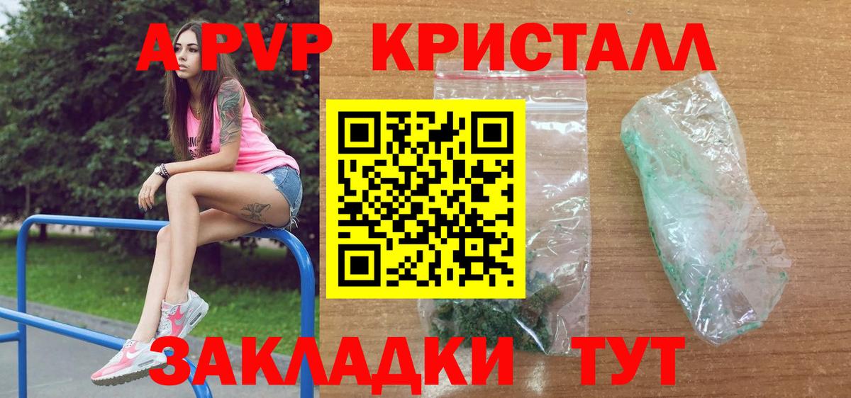 Alfa_PVP СК КРИС Тельмана