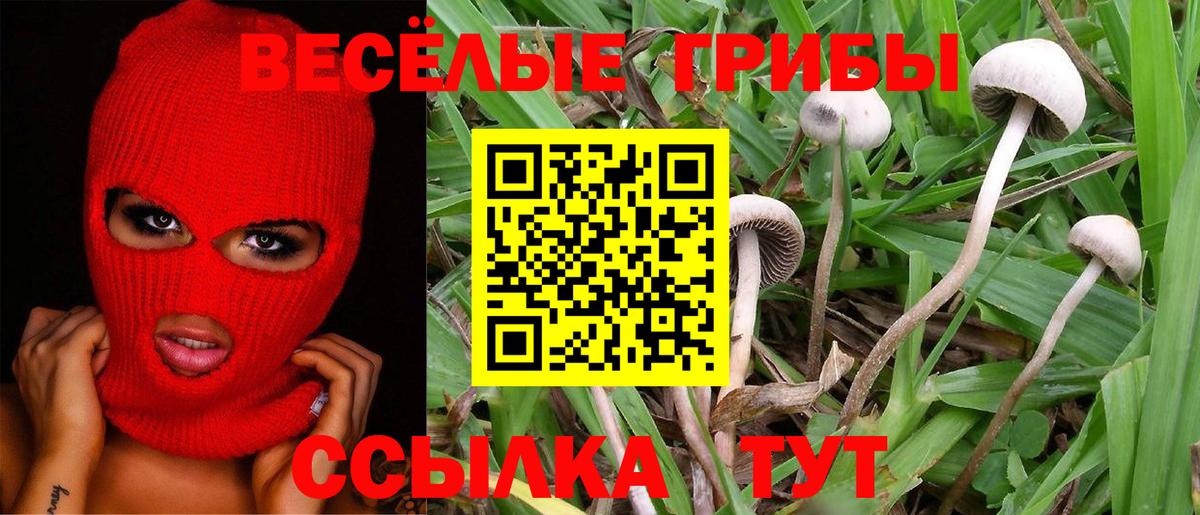 Псилоцибиновые грибы Psilocybe  Вход с VPN  даркнет сайт  Тельмана 